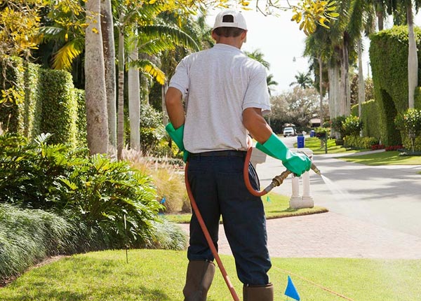 About West Fork AR Pest Control Pros